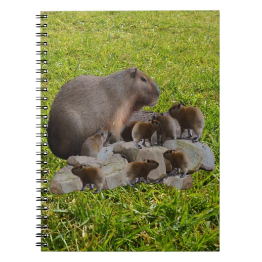 Capybara Mummyとベビー，ノート ノートブック (正面)