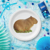 capybara paper plate ペーパープレート (パーティー)