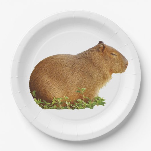 capybara paper plate ペーパープレート (正面)