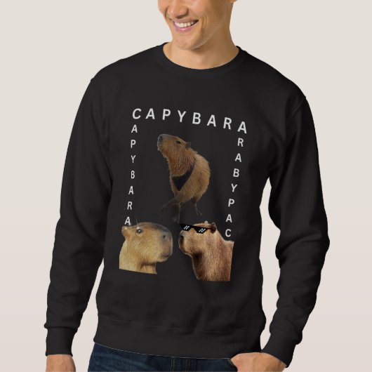 Capybara Photo Rodent Animal OK Pull Up Cappy スウェットシャツ (正面)