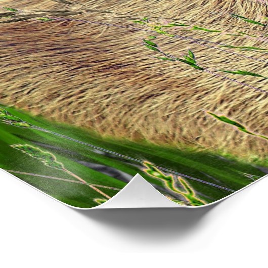 Capybara - Pneumatophores - Wildlife ポスター (コーナー)