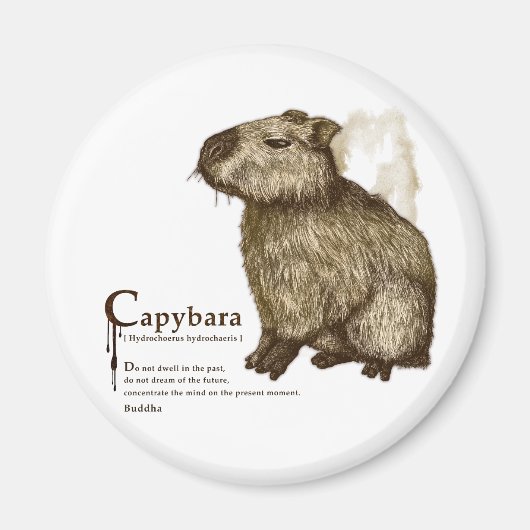 capybara - sepia マグネット (正面)