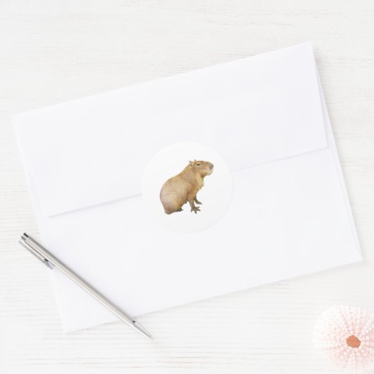 capybara sticker ラウンドシール (封筒)