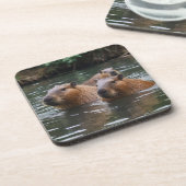 Capybaras' Swimming In The River,  コースター (左側)