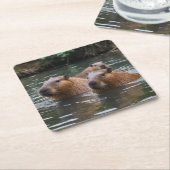Capybaras' Swimming In The River,  スクエアペーパーコースター (アングル)