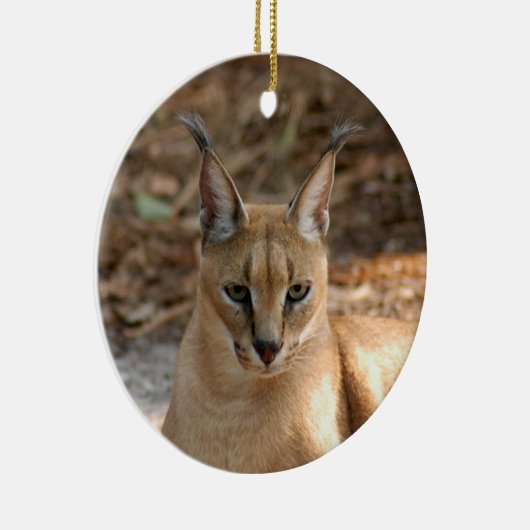 Caracalのオオヤマネコのクリスマスのオーナメント セラミックオーナメント (右)