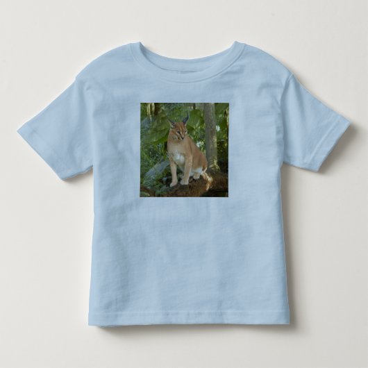 CaracalBCR015 トドラーTシャツ (正面)