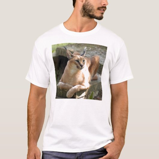 CaracalBCR055 Tシャツ (正面)