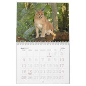 CaracalBCR058のCaracalのオオヤマネコ カレンダー (1月 2026)