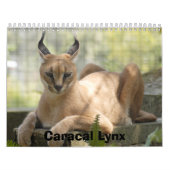 CaracalBCR058のCaracalのオオヤマネコ カレンダー (カバー)