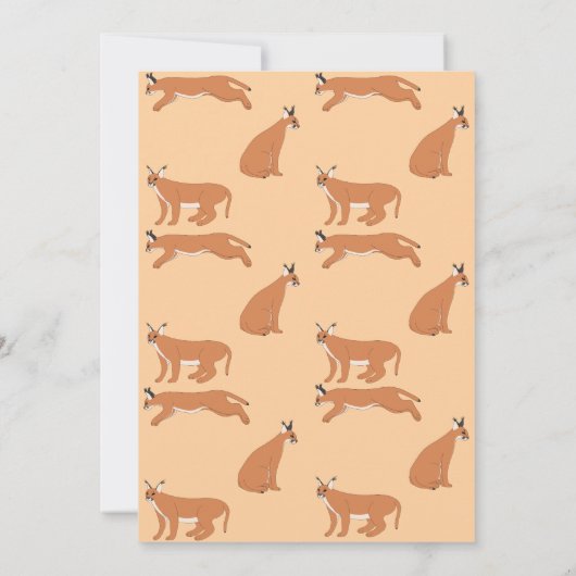 Caracals Thank you Card 招待状 (裏面)