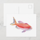 Carberryi アンシアス 魚の水彩イラスト ポストカード (正面/裏面)