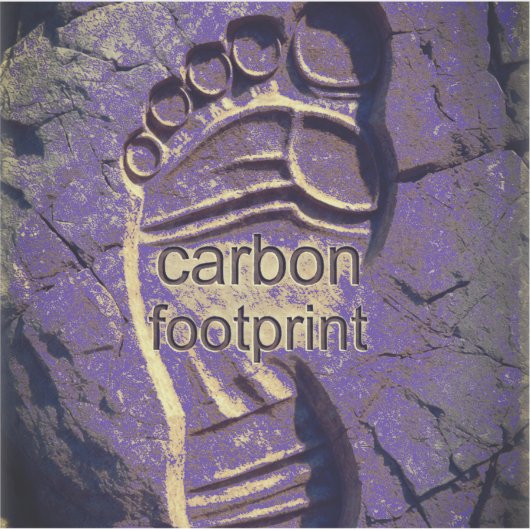 CARBON FOOTPRINT シール (正面)