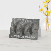 Carcharoclesのmegalodon カード (黄色い花)