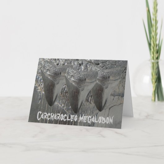 Carcharoclesのmegalodon カード (正面)