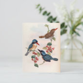 Carcineutes Melanops（青い顔のカワセミ） ポストカード (スタンド正面)