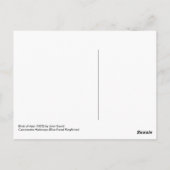 Carcineutes Melanops（青い顔のカワセミ） ポストカード (裏面)