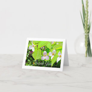CARD/FLORAL/のエンレイソウありがとう サンキューカード