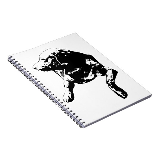 Card-Stack Companion, Lab Notes ノートブック (右側)