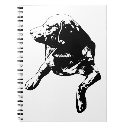 Card-Stack Companion, Lab Notes ノートブック (正面)