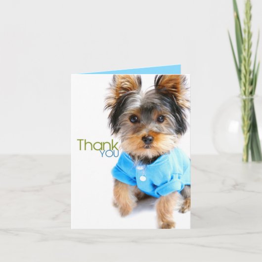 Card_Yorkieありがとう サンキューカード (正面)