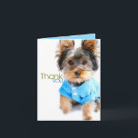 Card_Yorkieありがとう サンキューカード<br><div class="desc">感謝していしていますこの愛らしいヨークシャーテリアとの言って下さい!  それはあなたの名前入りな挨拶のための空白のな内部です。</div>