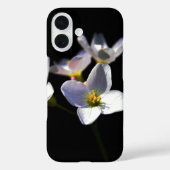 Cardamine Pratensis 花 iphcna Case-Mate iPhoneケース (裏面)