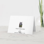 Cardinal氏及び夫人 シーズンカード (裏面)