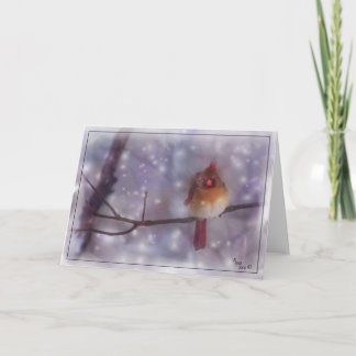 Cardinal遅く冷たい日の女性 シーズンカード