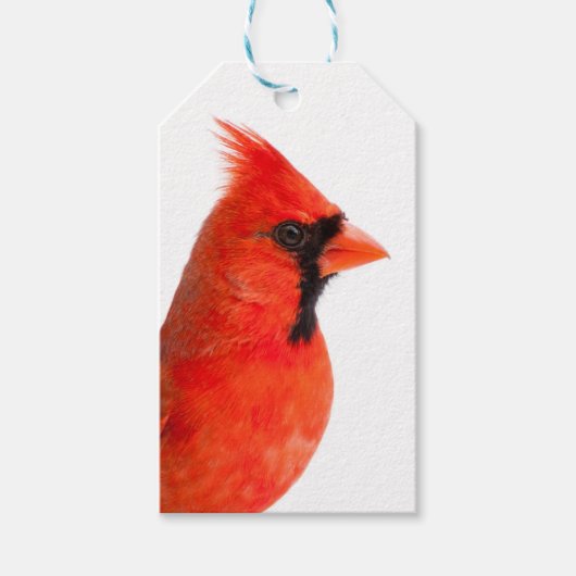 Cardinal ギフトタグ (正面)