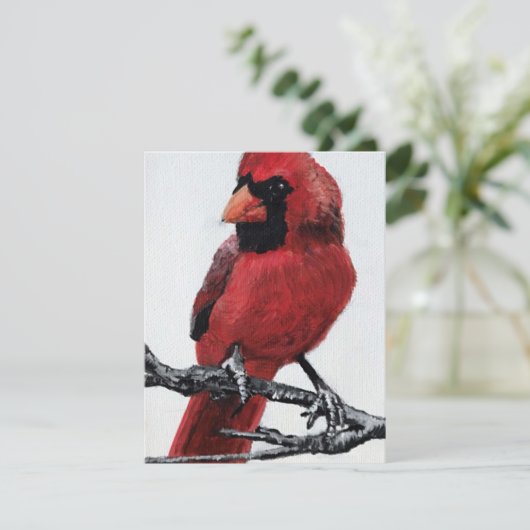 Cardinal  シーズンカード (スタンド正面)