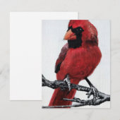 Cardinal  シーズンカード (正面/裏面)