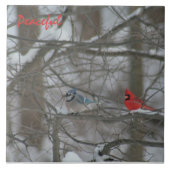 Cardinal and Jay タイル (正面)