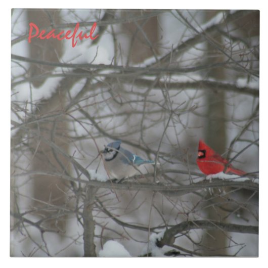 Cardinal and Jay タイル (正面)