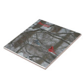 Cardinal and Jay タイル (側面)