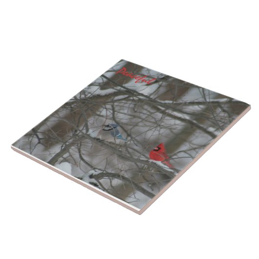 Cardinal and Jay タイル (側面)