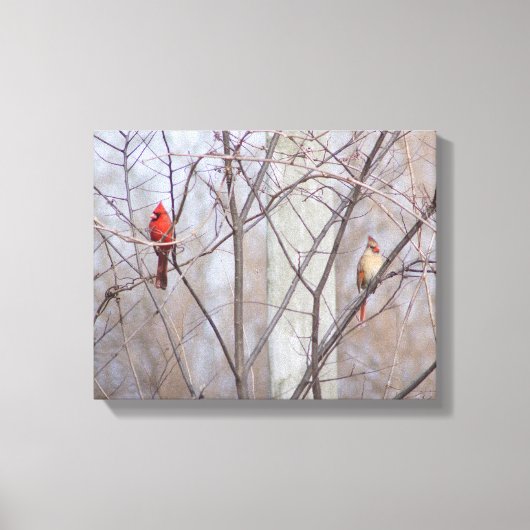 Cardinal family キャンバスプリント (正面)