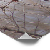 Cardinal family ポスター (角)