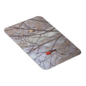 Cardinal family マグネット (右側)