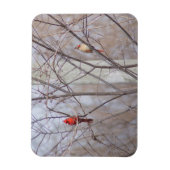 Cardinal family マグネット (縦)