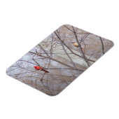 Cardinal family マグネット (左側)