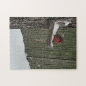 Cardinal in the snow ジグソーパズル (横)