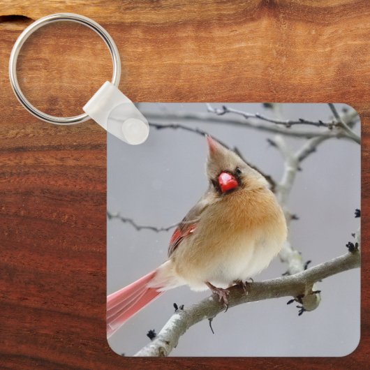 Cardinal_keychain キーホルダー (正面)