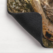 Cardinal Nest in a Baseball Glove マウスパッド (コーナー)