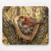 Cardinal Nest in a Baseball Glove マウスパッド (正面)