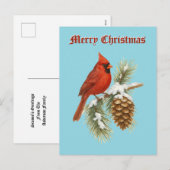 Cardinal On Snowy Pine Tree Christmas シーズンポストカード (正面/裏面)