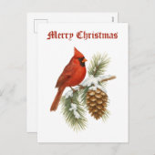 Cardinal On Snowy Pine Tree Christmas シーズンポストカード (正面/裏面)