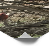 Cardinals ポスター (角)