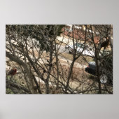 Cardinals ポスター (正面)