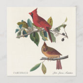 Cardinals by John James Audubon (正面)